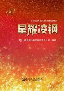 星耀凌鋼 星耀凌鋼