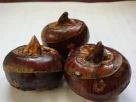 荔浦馬蹄 荔浦馬蹄