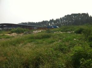 竹尾田村 竹尾田村