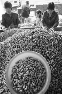 花生，煙田，小麥，還有礦石