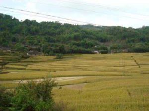 明朗上寨自然村 明朗上寨自然村