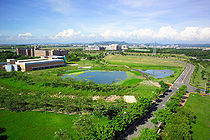 綠漾奇蹟，鴴池（高科生態池）