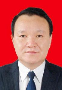 王玉潔[河北省張家口市人民政府副市長、公安局局長]