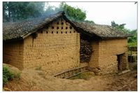 叢桿自然村 叢桿自然村