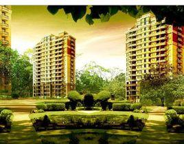 奧港國際 奧港國際