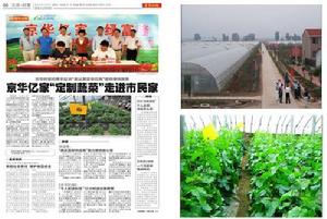 京華時報