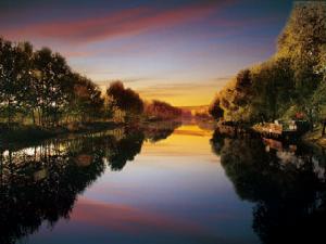 挪威de森林 挪威de森林