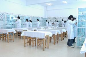 山東杏林科技職業學院