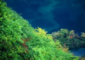 亞熱帶季風和季風濕潤性氣候