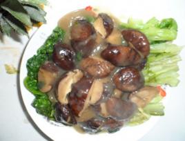 香菇生菜 香菇生菜