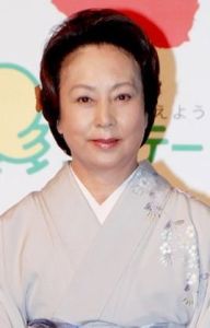 山本陽子 山本陽子