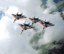 俄羅斯“勇士”飛行表演隊
