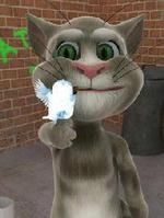 會說話的湯姆貓