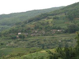 荒田村[寧洱鎮西薩村民委員會荒田村]