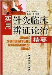 實用針灸臨床辨證論治精要