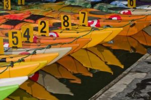 皮划艇大競賽 皮划艇大競賽