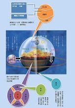 龍珠中大宇宙相當於宇宙的數倍大小，宇宙不過是人世的一部分