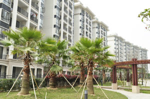 大信社區 大信社區