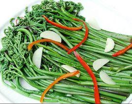 山珍蕨菜 山珍蕨菜