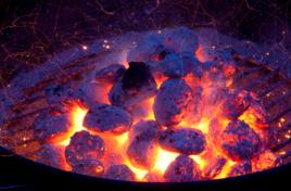 自燃系統 自燃系統