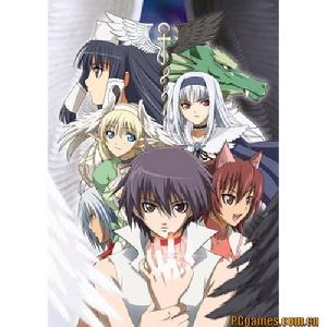 《光明之淚》 《光明之淚》