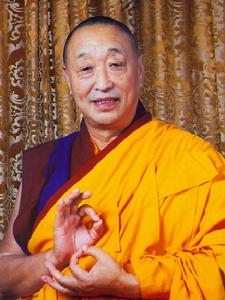 本教法王隆多丹貝尼瑪仁波切