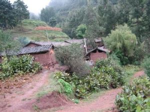 閘塘大坪子村 閘塘大坪子村
