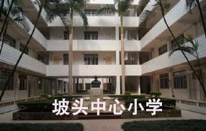 坡頭中心國小 坡頭中心國小