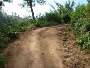 大田箐自然村 大田箐自然村