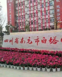 南充市白塔中學 南充市白塔中學