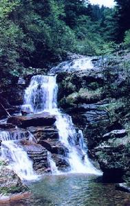 陝西佛坪國家級自然保護區