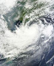2012年第5號強熱帶風暴“泰利”