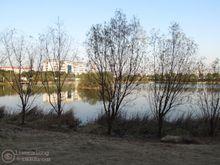 桃子湖的景點圖片