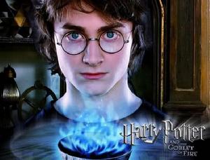 哈利·波特與遺傳學 哈利·波特與遺傳學