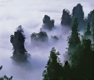 天子山自然保護區——雲霧