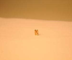 愛情鳥珠寶18k金Nessa吊墜