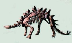 多棘沱江龍 多棘沱江龍