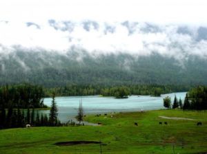 哈納斯[哈納斯自然保護區]