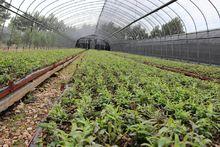 安徽中升生物科技有限公司基地