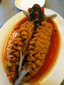 魚皮石榴 魚皮石榴