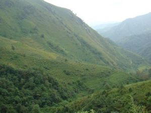 芒卡自然村 芒卡自然村