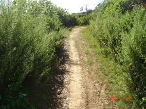 玉比苴村 玉比苴村