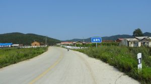 金滿屯林場 金滿屯林場