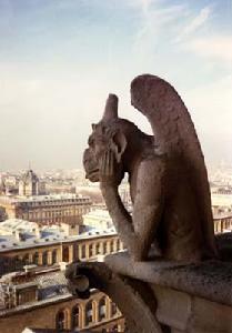 滴水嘴獸 滴水嘴獸