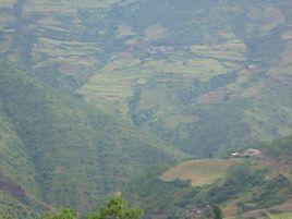 本竹社自然村 本竹社自然村