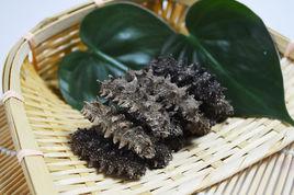 淡乾海參 淡乾海參