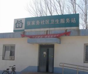 張家務村 張家務村