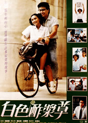 白色酢醬草 白色酢醬草