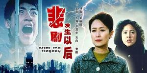 悲劇發生以後 悲劇發生以後