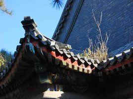 北京萬壽公園 北京萬壽公園